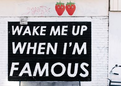 Wake me up when im famous