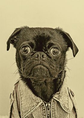 Pug Me