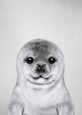 Baby Seal BW