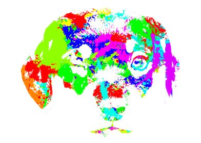 Colorful Doggy