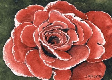 Watercolour Rose