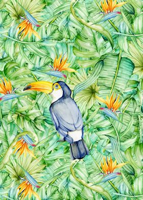 Toucan and Tropical Leaves