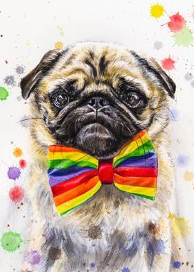 Albert the Pug at Pride