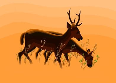 Calamian Deer