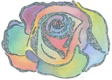 Rainbow Rose