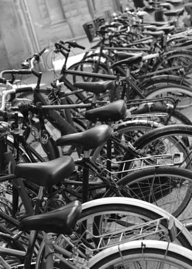 Row of bicycles black and 