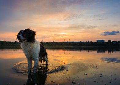 sundown refreshment