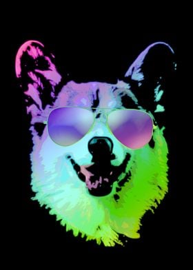 Cool Corgi