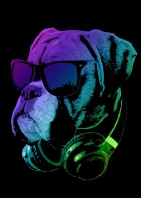 DJ Boxer Dog