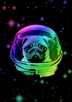 Space Pug