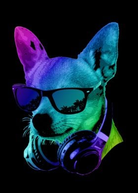 DJ Chihuahua