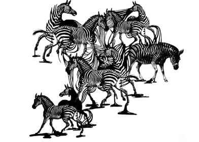 Ink zebra