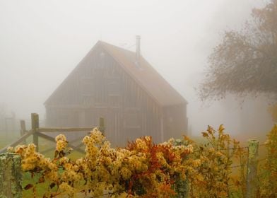 Autumn Mist