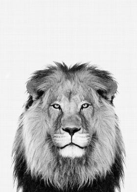 Lion Portrait BW