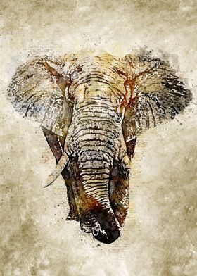 Elephant Watercolor Vintag