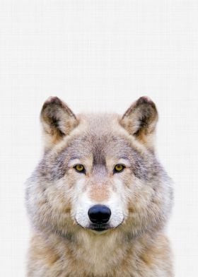 Wolf Portrait