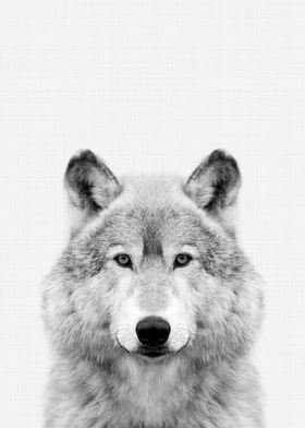 Wolf Portrait BW