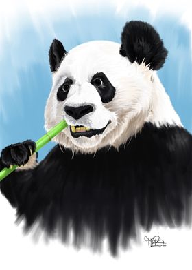 The Big Panda