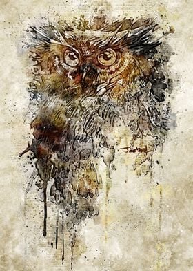 Owl Vintage Illustrator