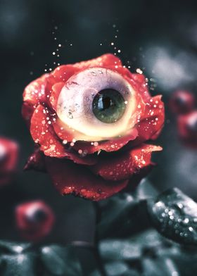 Rose with Eyes
