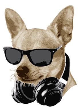 Cool Chihuahua