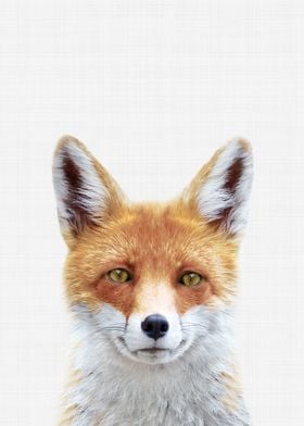 Fox Portrait