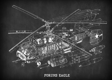 FORUMS EAGLE