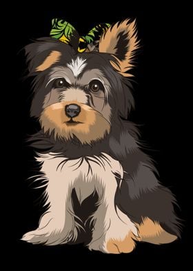 Yorkshire Terrier 