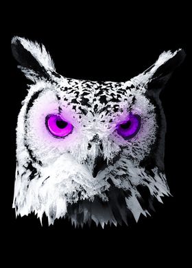 Eyes Owl