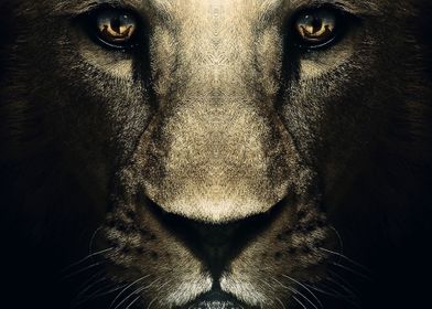 wild lion face poster ' Poster by MK studio | Displate
