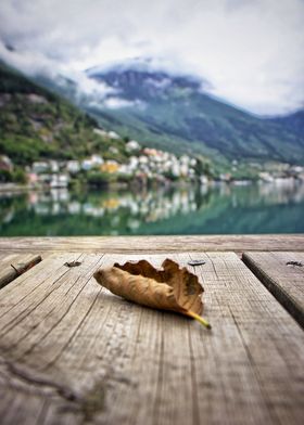 leaf on the dock