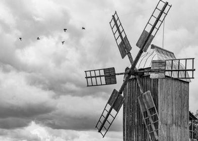 Windmills and birds