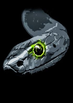 Snake Gray