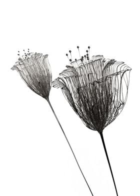 Minimalist flowers