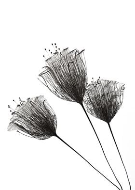 Minimalist flowers