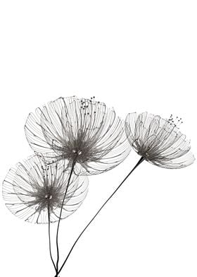 Minimalist flowers