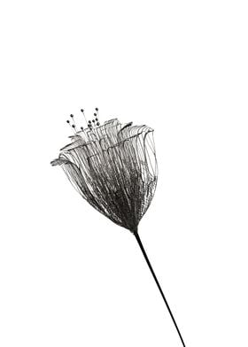 Minimalist flowers