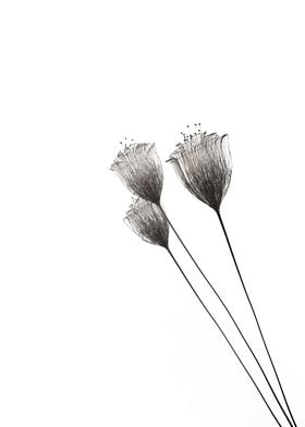 Minimalist flowers