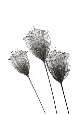 Minimalist flowers