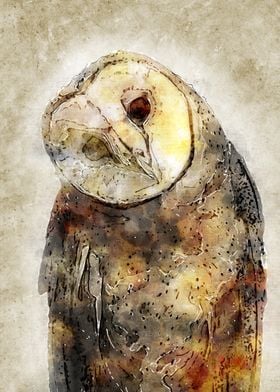 Owl Vintage Watercolor