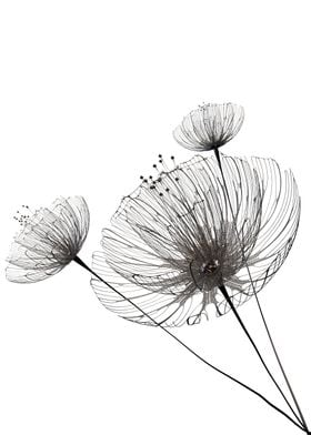 Minimalist flowers