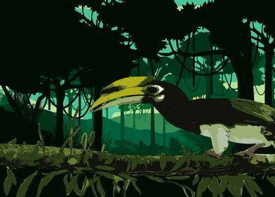 The rhinoceros hornbill 