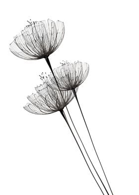 Minimalist flowers