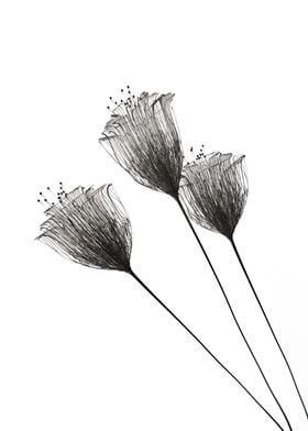 Minimalist flowers