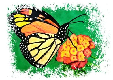 Butterfly Watercolour