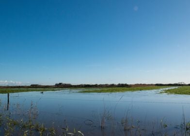 Flooded Fields 2