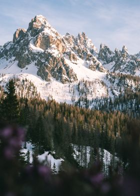 Dolomiti