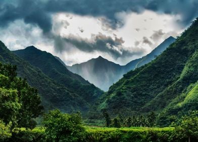 Raining in Tahiti