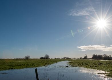 Flooded Fields