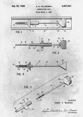 No253 Inmobilizer dart